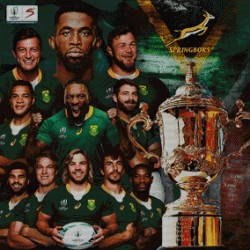 Rugby World Cup 80x80cm