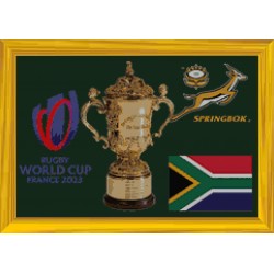 Rugby cup Framed 40x60cm