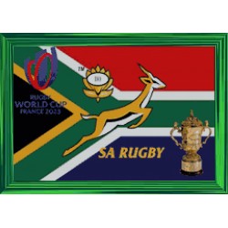 SA Springbok Flag Framed...
