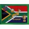 SA Springbok Flag Framed 40x60cm