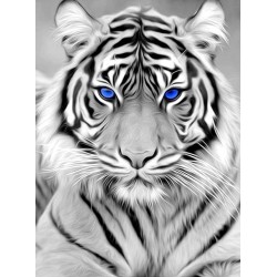 Blue-Eyed Tiger 30x40