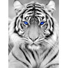 Blue-Eyed Tiger Diamond Art Painting | In Stock & Ready to Ship | Diamond Art SA