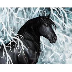 Black Horse 40x50