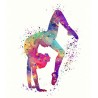 Colourful Gymnast