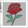 Rose 20x20cm