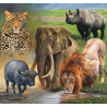 Big 5 Cross Stitch 50x60cm