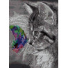 Cat & Butterfly Diamond Art Painting | In Stock & Ready to Ship | Diamond Art SA