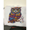 Owl Partial Cross Stitch 45x45cm