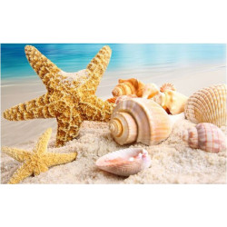 Sea Star 75x47cm