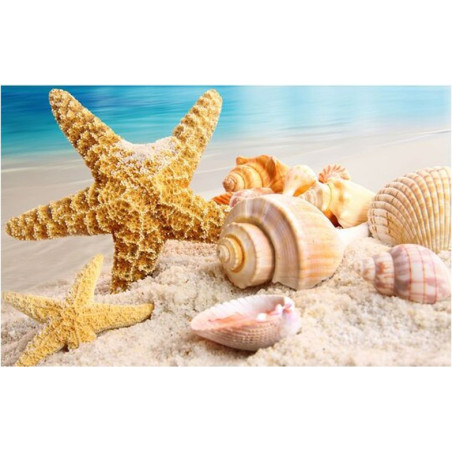 Sea Star 75x47cm
