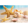 Sea Star 75x47cm