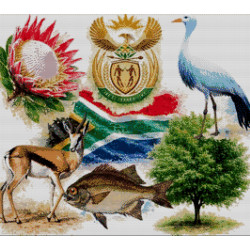 South African National Symbols Diamond Art Kit (67x75cm) | On Special