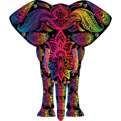 Colourful Elephant