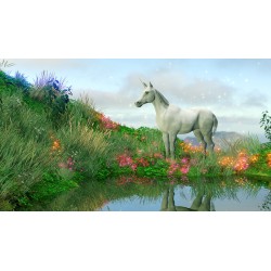 Unicorn in field