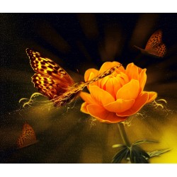 Flower with Butterfly