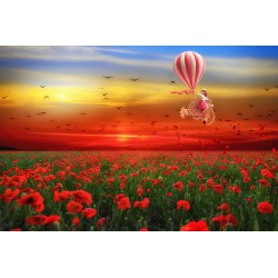 Balloon in flower field