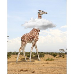 Giraffe in Cloud