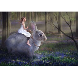 Girl on Rabbit
