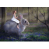 Girl on Rabbit