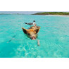 Pig Swimming