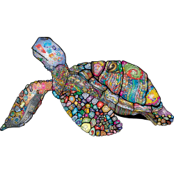 Colourful Turtle