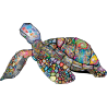 Colourful Turtle