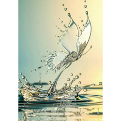 Water butterfly