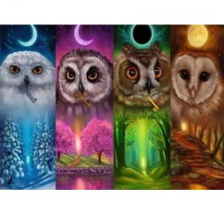 4 Owls