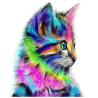 Colourful Cat