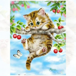 Kitten in Tree