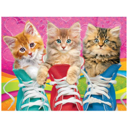 Kittens in shoes