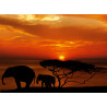 Elephant sunset