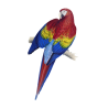 Parrot