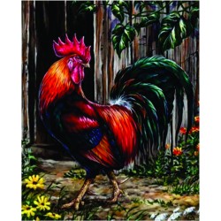 Rooster