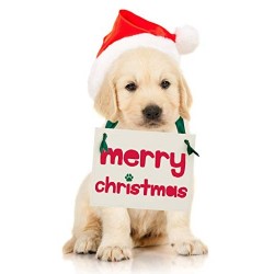 Christmas Labrador